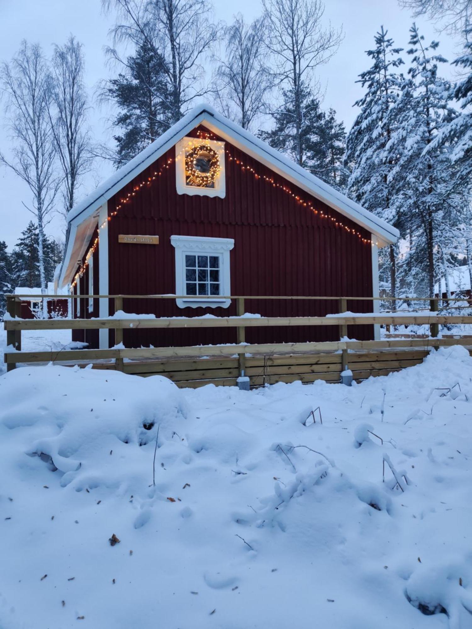 Davids Stuga Klassbol Luaran gambar